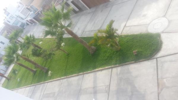 Residencial El Sol De Los Pinos Bed and Breakfast Τρουχίλο Εξωτερικό φωτογραφία